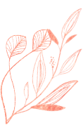 demo-attachment-440-new-flower-title-3